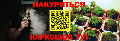 сатива Коммунар
