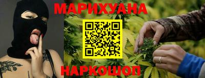 сатива Коммунар