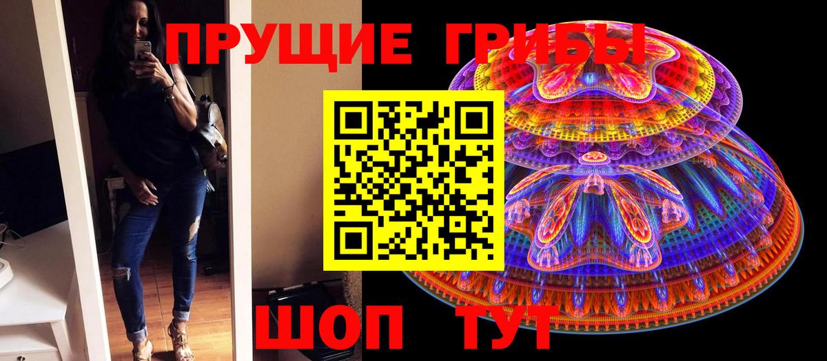 Кемерово  Галлюциногенные грибы Cubensis  хочу   Галлюциногенные грибы прущие грибы  Вход с VPN 