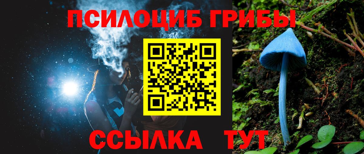 Галлюциногенные грибы GOLDEN TEACHER Кемерово